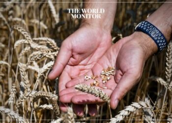 Egypt Secures Grain Deal with Russia