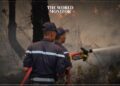 Devastating Hawaiian Fires Claim 100 Lives