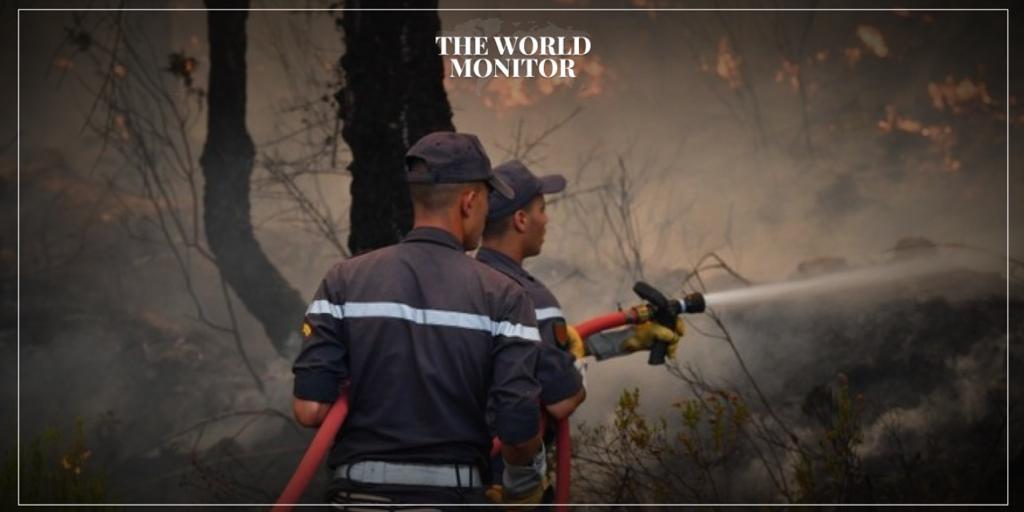 Devastating Hawaiian Fires Claim 100 Lives