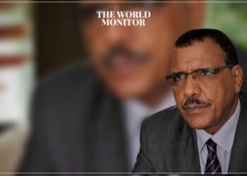 UN Concerned Over Treatment of Niger President