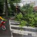 Government Offices in Washington Close Due to Storms
