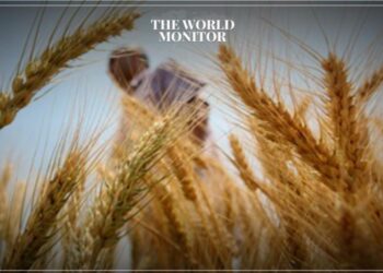 Egypt Acquires 235,000 Tonnes of Russian Wheat