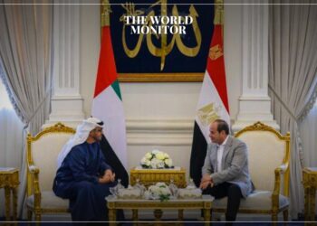 UAE & Egypt Call for Strengthened Joint Arab Action