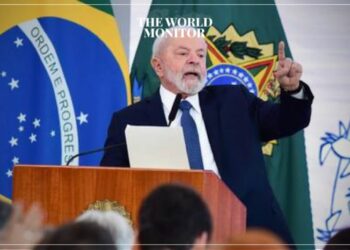 Brazil Calls on World to Help Save Amazon Rainforest