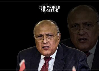 Egyptian FM Calls for Solution to Sudan Crisis