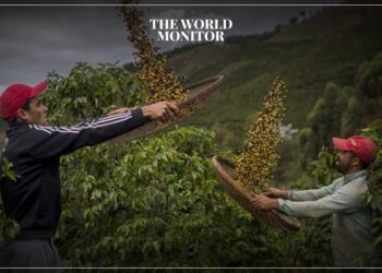 Arab Countries Increase Coffee Imports from Brazil