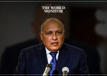 Egypt Urges Resolution to Syrian Crisis