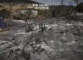 Algeria Intensifies Efforts Against Forest Fires