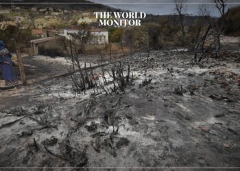 Algeria Intensifies Efforts Against Forest Fires