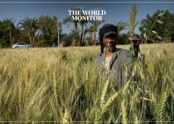 Egypt Targets “Self-Sufficiency” in 5 Commodities