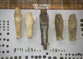 Ancient Artifacts Seized from Dealer in Egypt