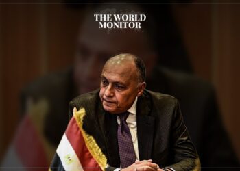 Egypt Calls for Peaceful Settlement in Niger