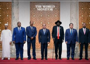 Egypt & Chad Discuss Sudan Crisis