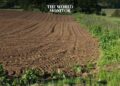Egypt to Expand Agricultural Land