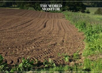 Egypt to Expand Agricultural Land