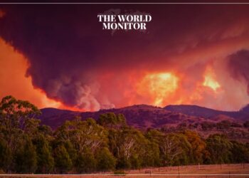 Study: Climate Change Increases Risk Of Extreme Wildfires By 25%