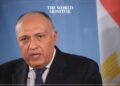 Egypt's FM Heads for New York to Attend UN General Assembly