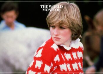 Princess Diana’s Famous Sweater Sold for $1.1 Million