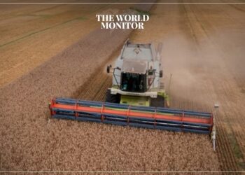 Ukraine to Sue Several Countries over Grain Import Ban