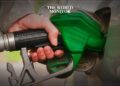 Egypt to Produce Petroleum Products Locally