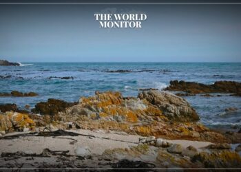 South Africa Denies Claims of Arms Shipment to Russia