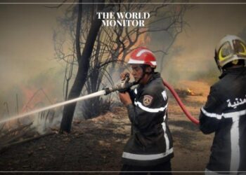Algeria: 20 Fires Extinguished in “Bejaia Province”
