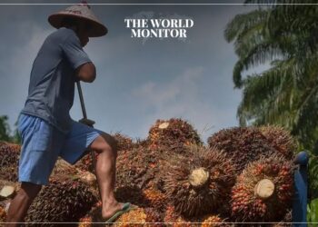 Global Food Prices Decline in August