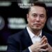 Elon Musk Backs Free Web Learning Over University