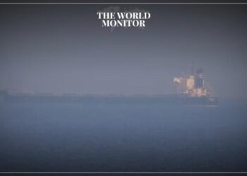 Ukraine Resumes Grain Exports to Egypt & Israel