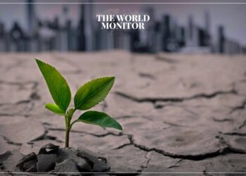 South America Suffers Severe Climate Impacts