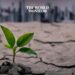 South America Suffers Severe Climate Impacts