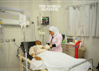 Egypt & Greece Discuss Medical Infrastructure Investments