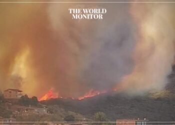 Firefighters Battle Wildfires in Algeria