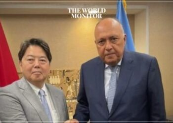 Egypt & Japan Discuss Arab-Japanese Bilateral Relations