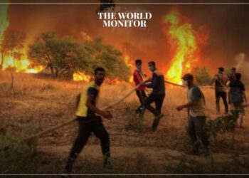 10 Fires Break out in Algeria Due to Firework Celebrations