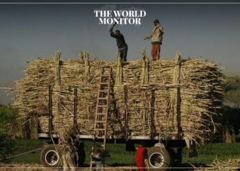 Egypt Extends Sugar Export Ban