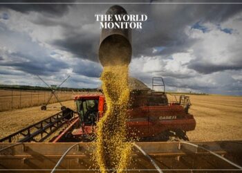 Ukraine to Ship 57,000 Tonnes of Grain to Sudan & Nigeria