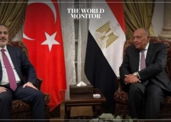 Egypt & Turkey Unite Efforts to Address Humanitarian Crisis in Gaza