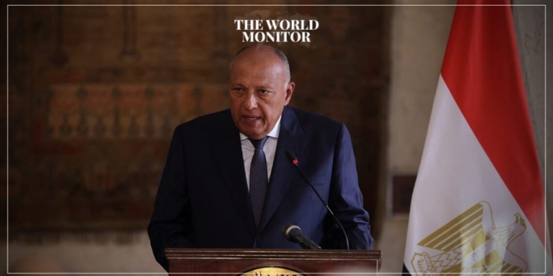 Egypt Urges International Community to Focus on Sudan Crisis