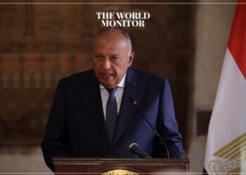 Egypt Urges International Community to Focus on Sudan Crisis