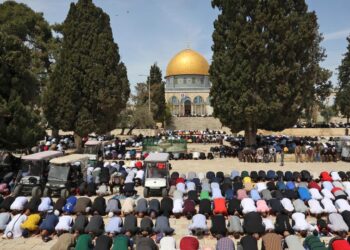 “Blue Gold” Gains Global Attention