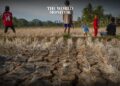 43 Million Children Displaced Due to Extreme Weather