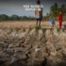 43 Million Children Displaced Due to Extreme Weather