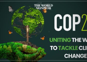 Africa Highlights Priority to Confront Climate Change at COP28