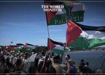 Pro-Palestine Protesters Block Israeli Ship at Sydney Port