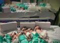 Egypt Ready to Receive 36 “Newborns” from Gaza