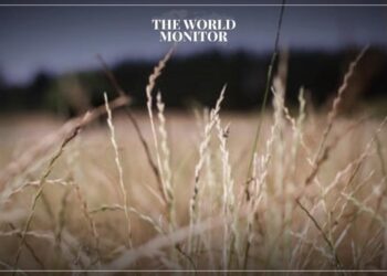 Russia to Ban Hard Wheat Exports