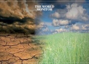 Germany Commits to Climate Damage Fund