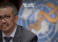 WHO Chief Questions UN Role in Stopping Gaza Violence