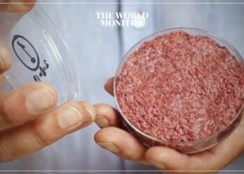 Italy Bans “Lab-Produced” Meat